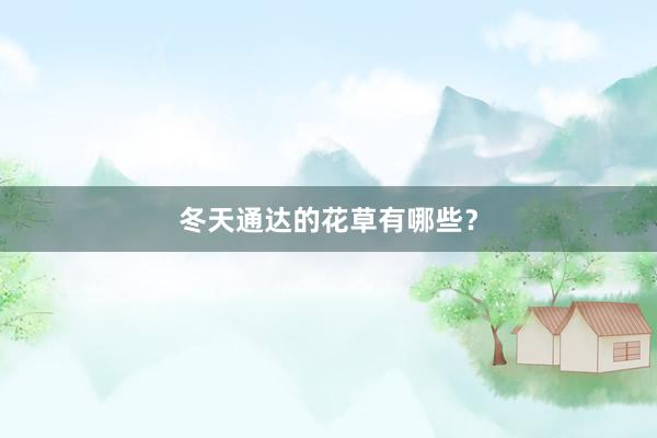 冬天通达的花草有哪些？