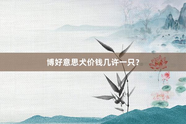 博好意思犬价钱几许一只？